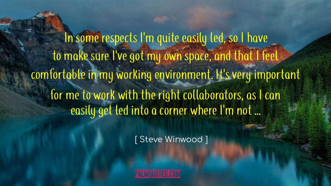 Steve Winwood Quotes: In some respects I'm quite