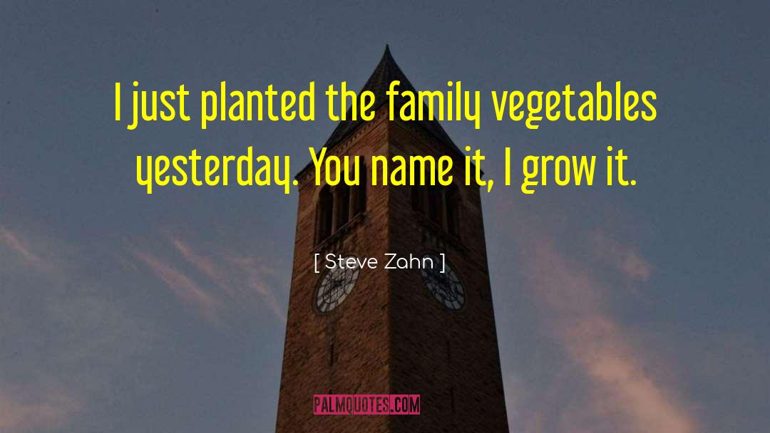 Steve Zahn Quotes: I just planted the family