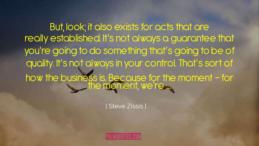 Steve Zissis Quotes: But, look; it also exists
