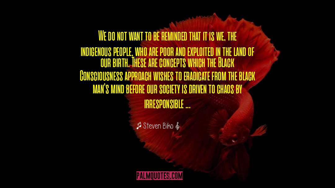 Steven Biko Quotes: We do not want to
