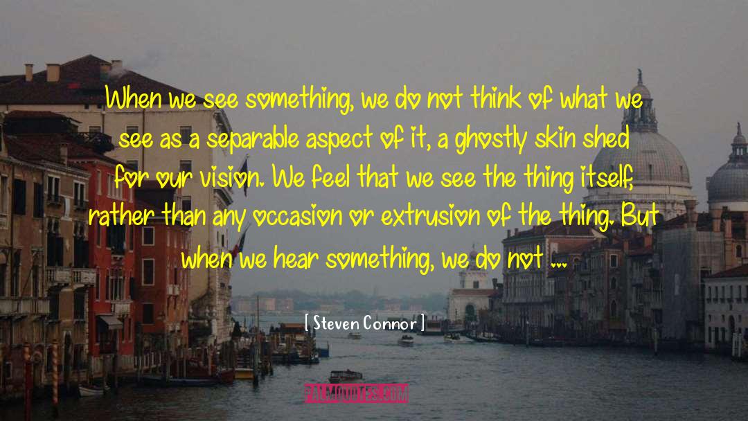 Steven Connor Quotes: When we see something, we