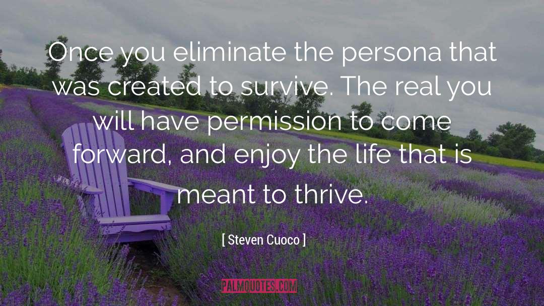 Steven Cuoco Quotes: Once you eliminate the persona