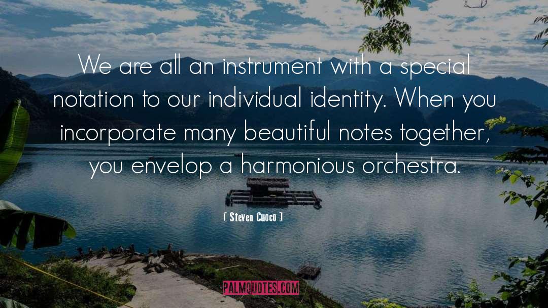 Steven Cuoco Quotes: We are all an instrument