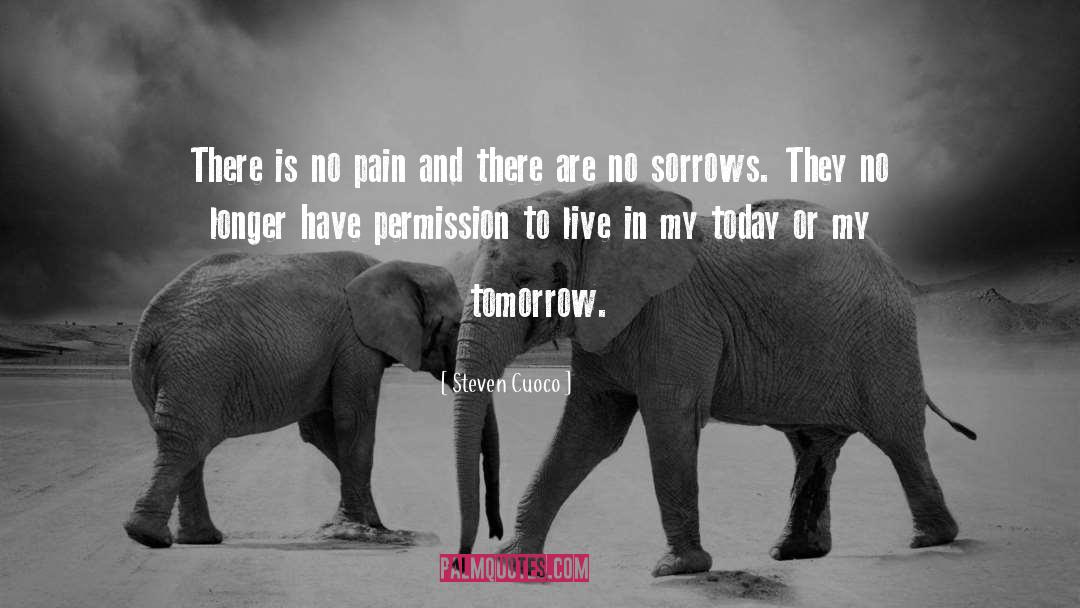 Steven Cuoco Quotes: There is no pain and