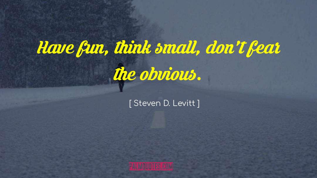 Steven D. Levitt Quotes: Have fun, think small, don't