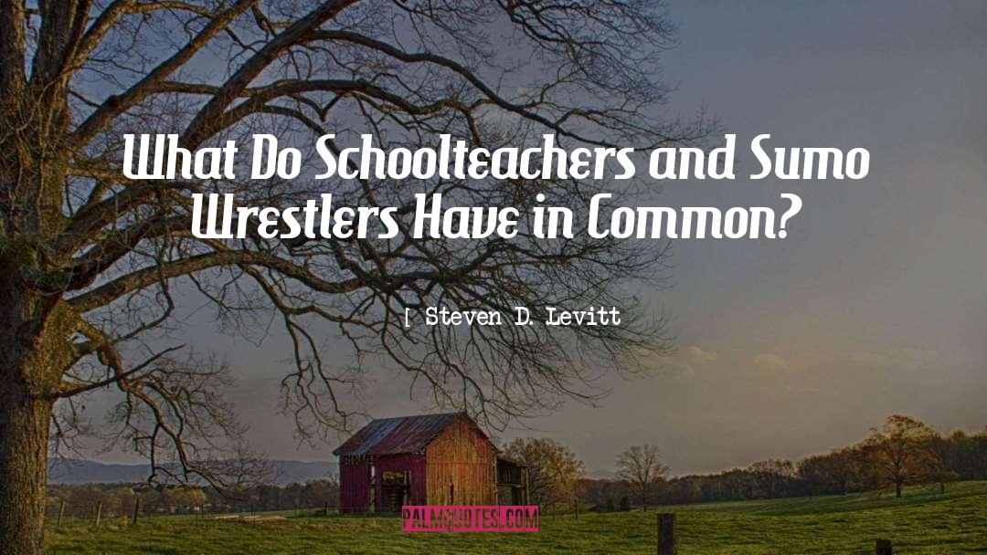 Steven D. Levitt Quotes: What Do Schoolteachers and Sumo