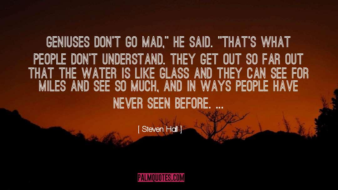 Steven Hall Quotes: Geniuses don't go mad,