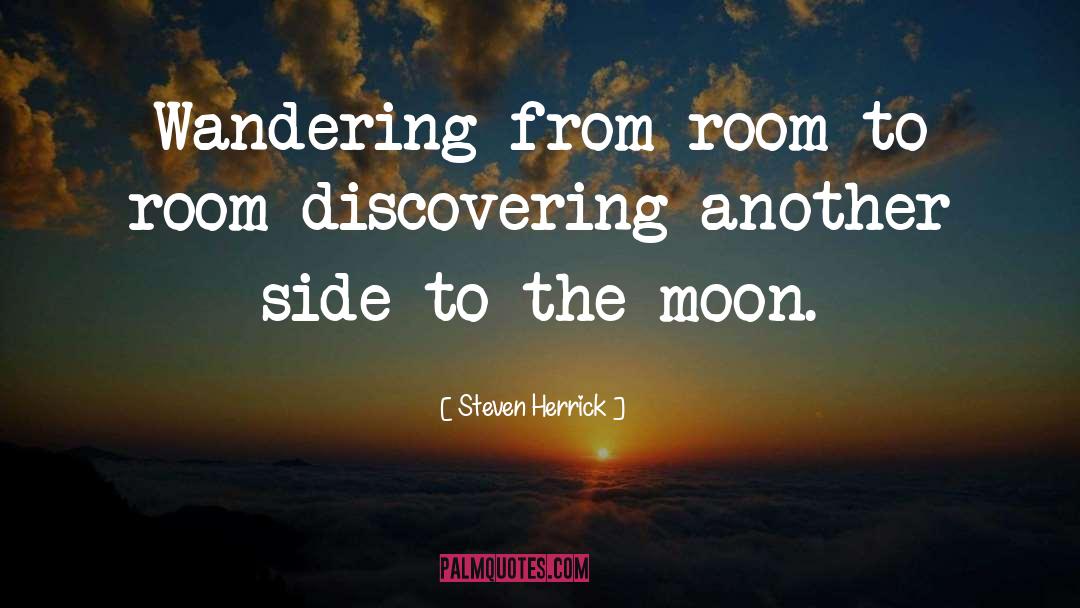 Steven Herrick Quotes: Wandering from room to room