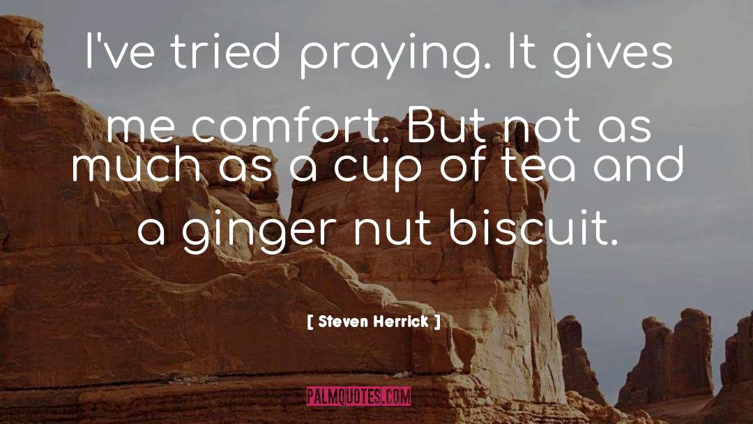 Steven Herrick Quotes: I've tried praying. It gives