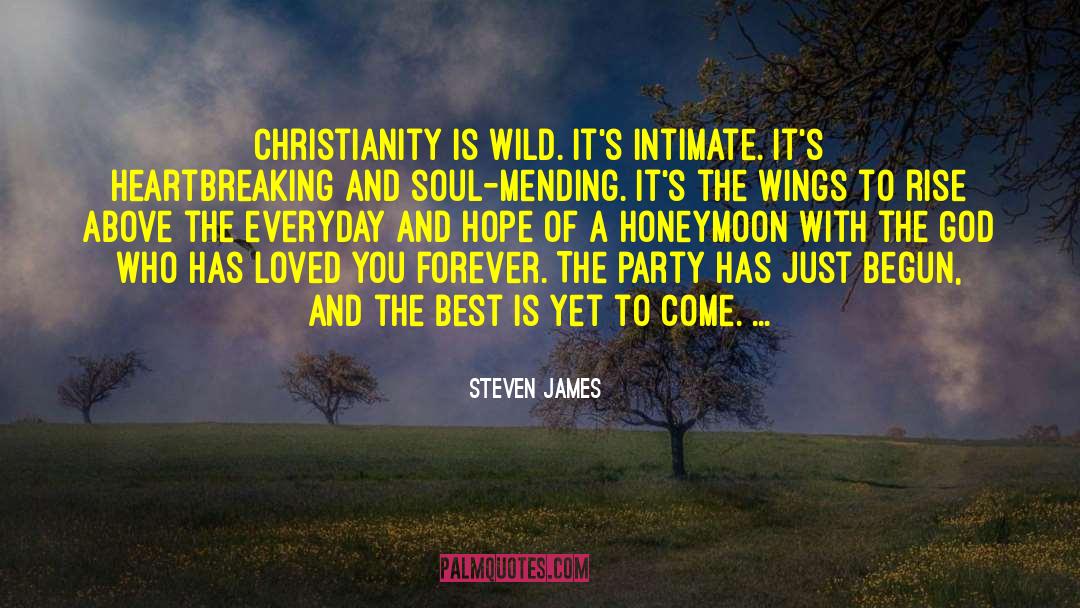 Steven James Quotes: Christianity is wild. It's intimate.