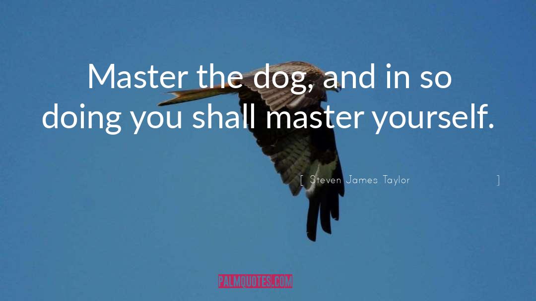 Steven James Taylor Quotes: Master the dog, and in