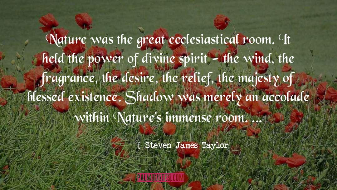 Steven James Taylor Quotes: Nature was the great ecclesiastical