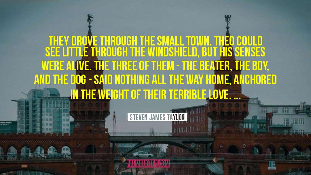 Steven James Taylor Quotes: They drove through the small