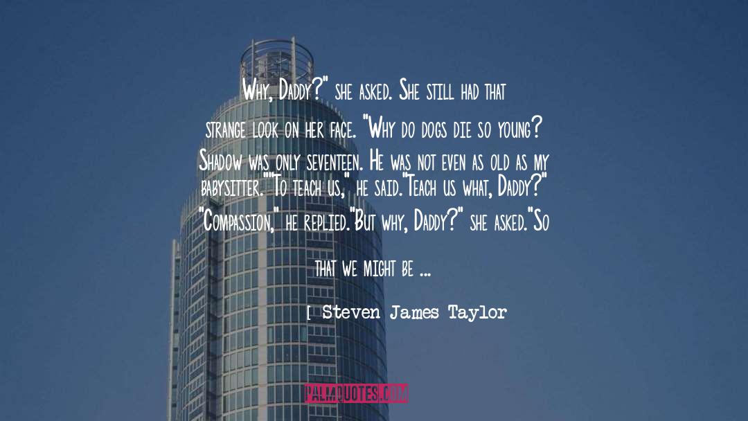 Steven James Taylor Quotes: Why, Daddy?