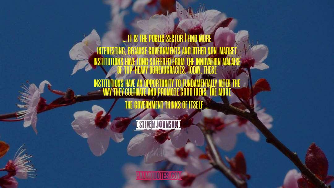 Steven Johnson Quotes: ... it is the public