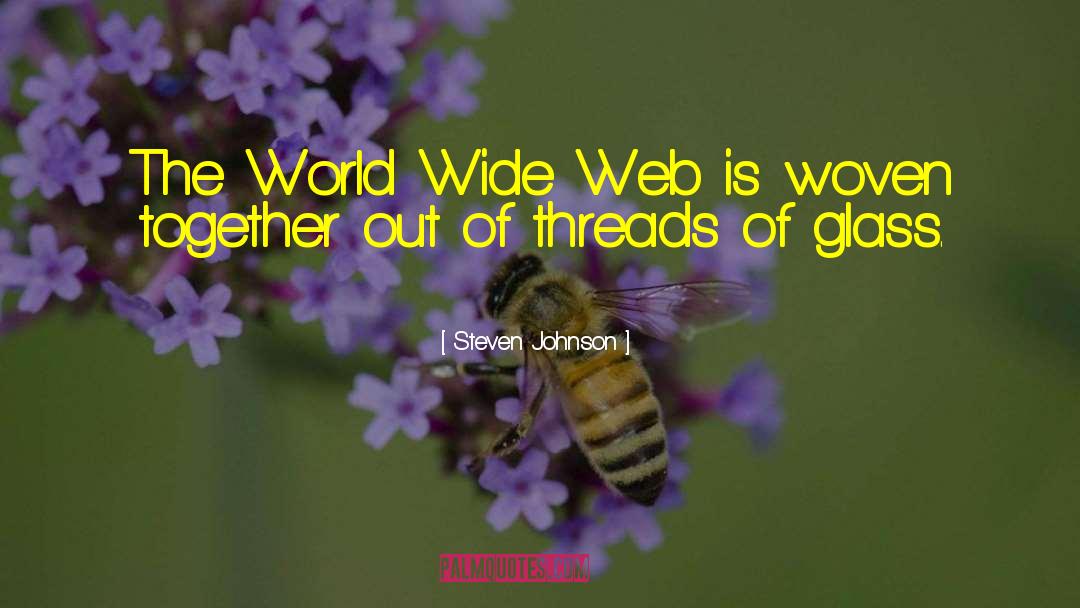 Steven Johnson Quotes: The World Wide Web is