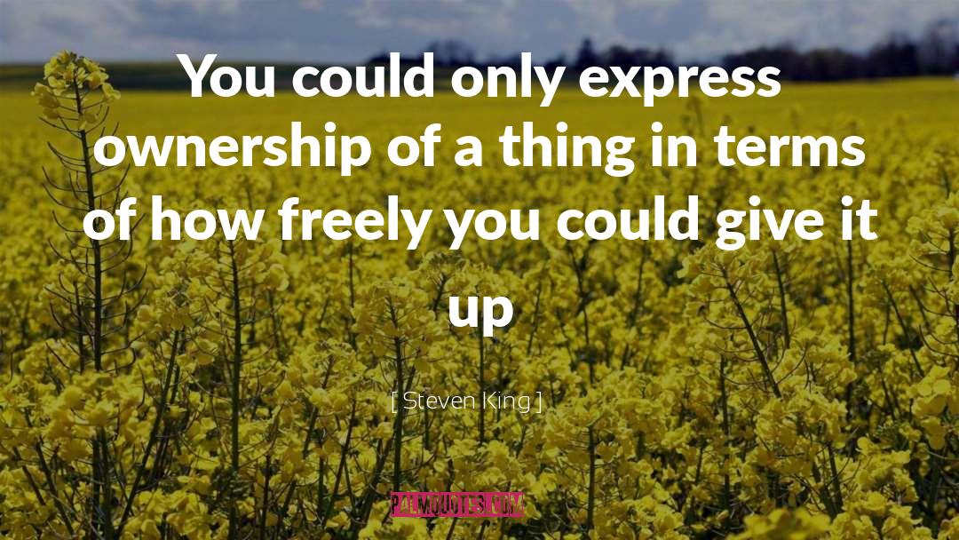 Steven King Quotes: You could only express ownership