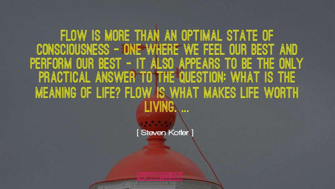 Steven Kotler Quotes: Flow is more than an