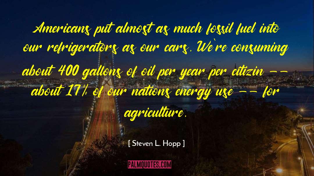 Steven L. Hopp Quotes: Americans put almost as much