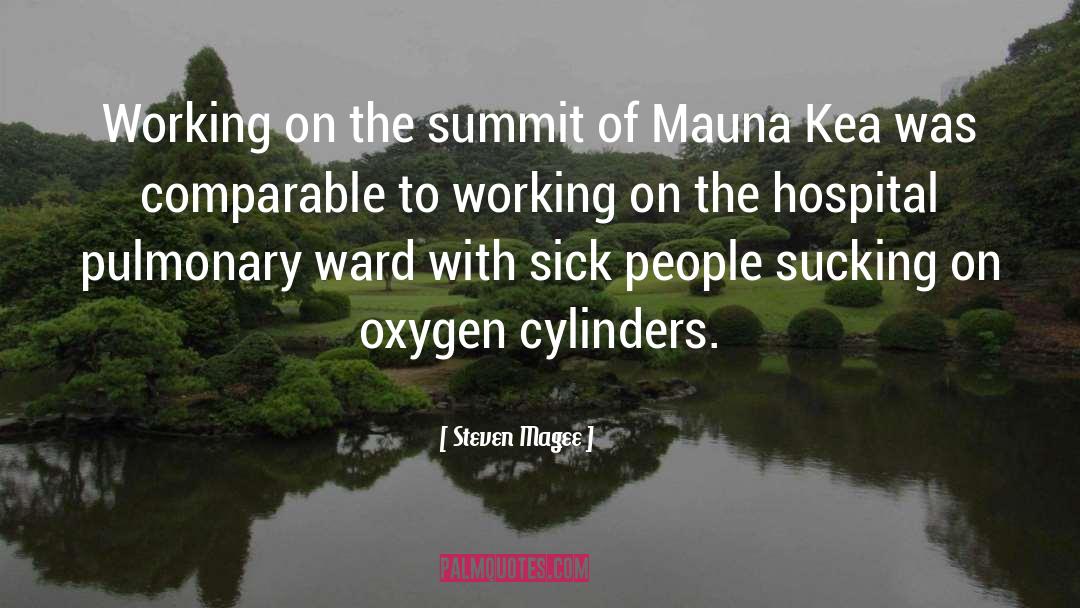 Steven Magee Quotes: Working on the summit of