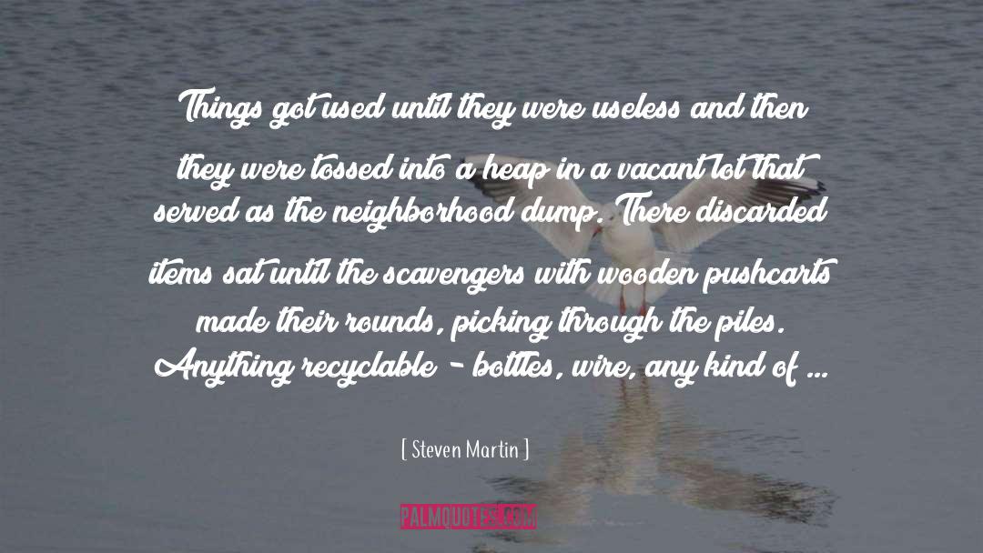 Steven Martin Quotes: Things got used until they