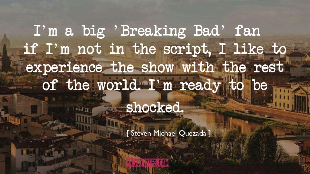 Steven Michael Quezada Quotes: I'm a big 'Breaking Bad'