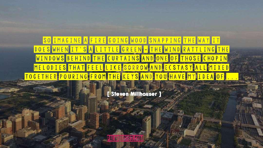 Steven Millhauser Quotes: So imagine a fire going