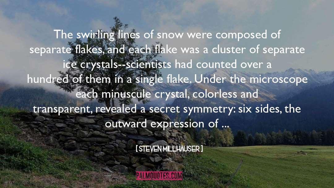 Steven Millhauser Quotes: The swirling lines of snow