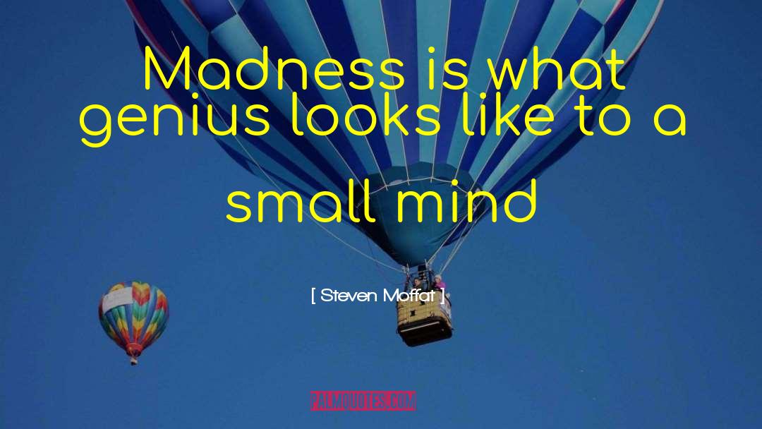 Steven Moffat Quotes: Madness is what genius looks