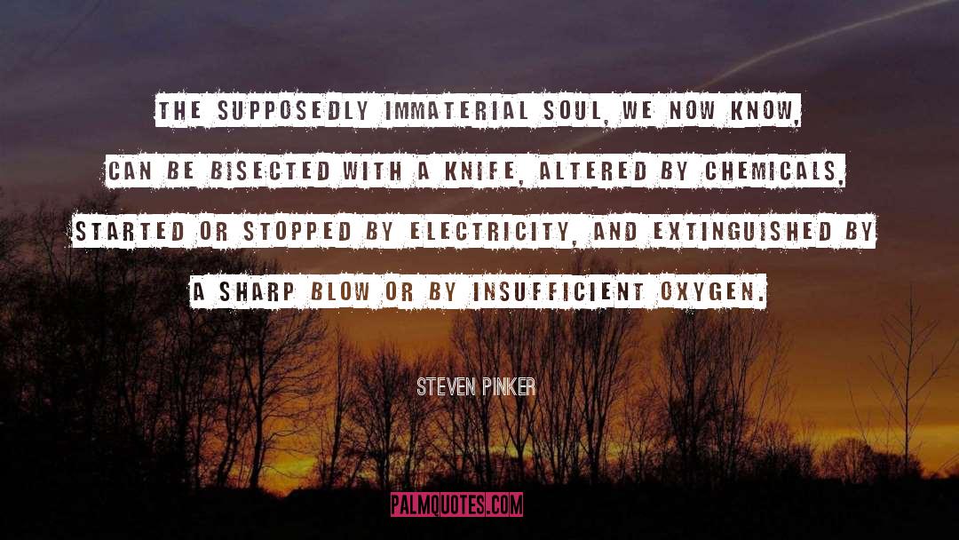 Steven Pinker Quotes: The supposedly immaterial soul, we