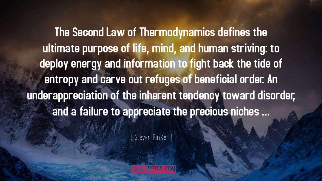 Steven Pinker Quotes: The Second Law of Thermodynamics