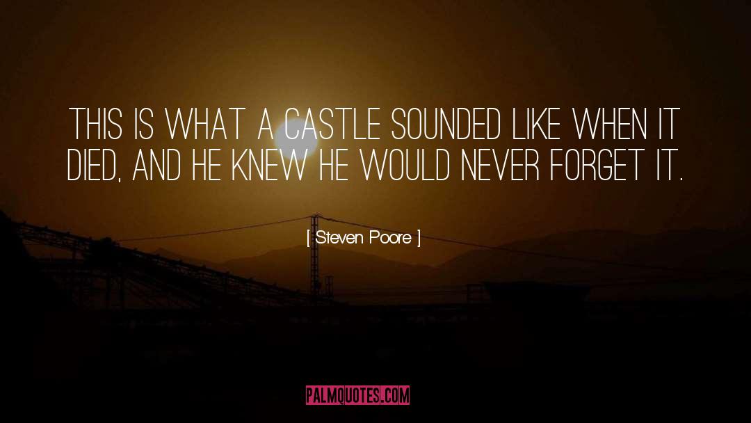 Steven Poore Quotes: This is what a castle