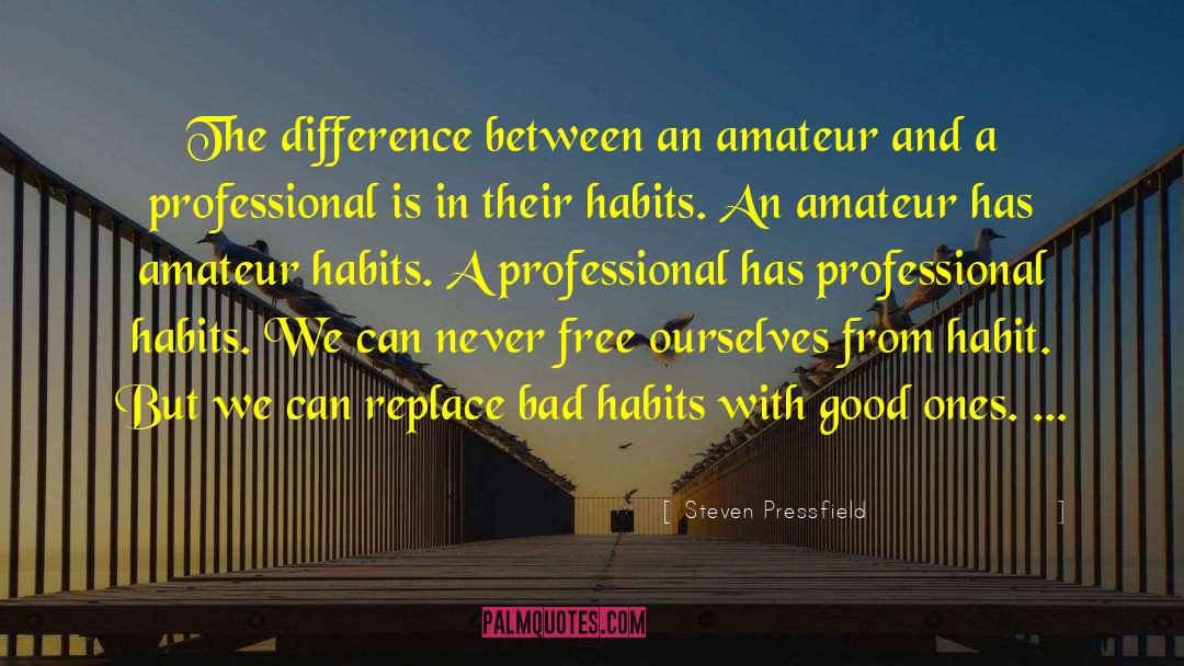 Steven Pressfield Quotes: The difference between an amateur