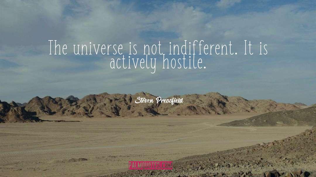 Steven Pressfield Quotes: The universe is not indifferent.