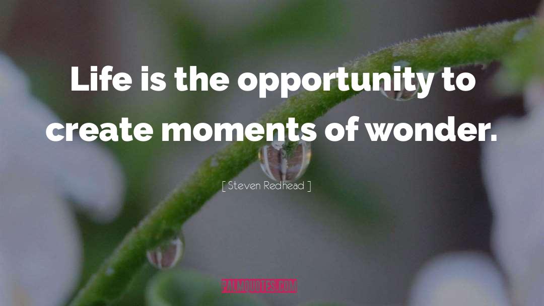 Steven Redhead Quotes: Life is the opportunity to
