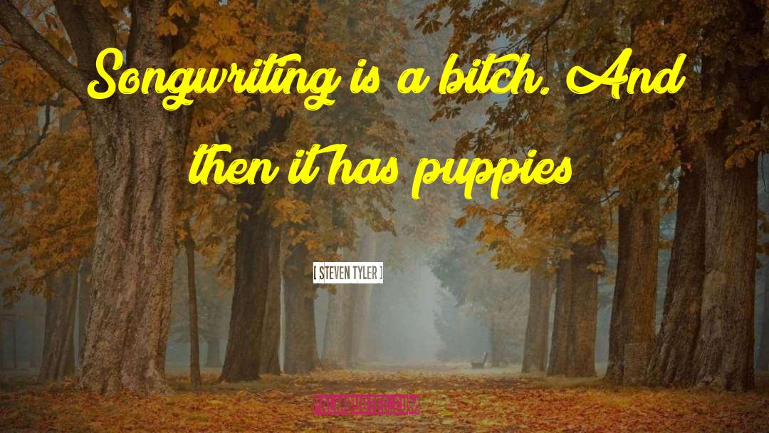 Steven Tyler Quotes: Songwriting is a bitch. And