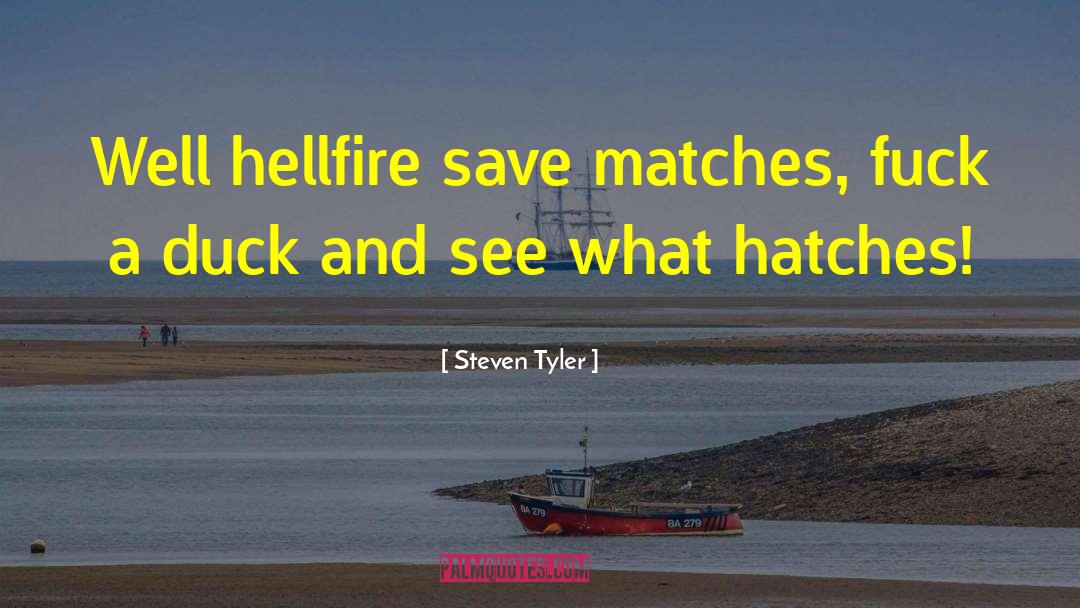 Steven Tyler Quotes: Well hellfire save matches, fuck