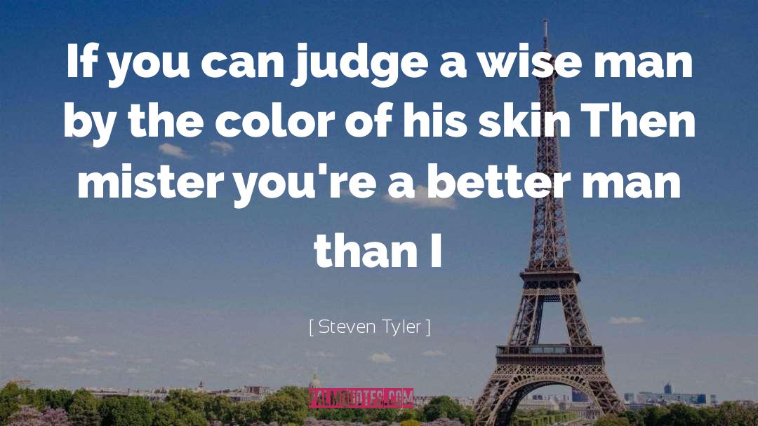 Steven Tyler Quotes: If you can judge a