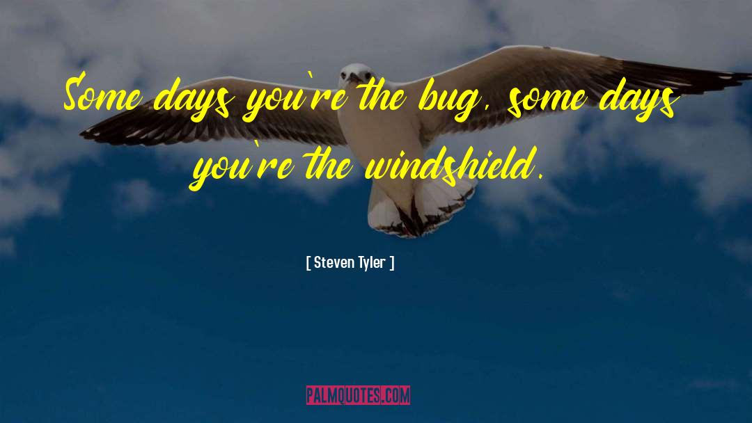 Steven Tyler Quotes: Some days you're the bug,
