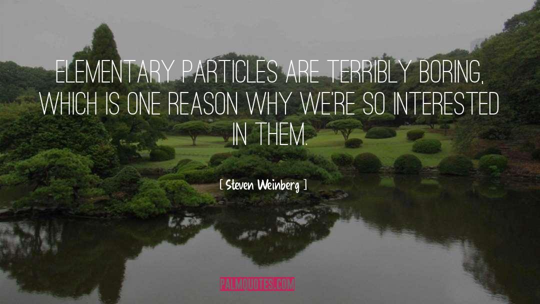 Steven Weinberg Quotes: Elementary particles are terribly boring,