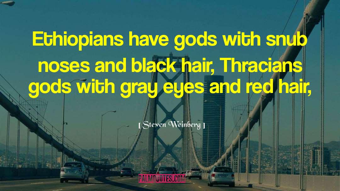 Steven Weinberg Quotes: Ethiopians have gods with snub