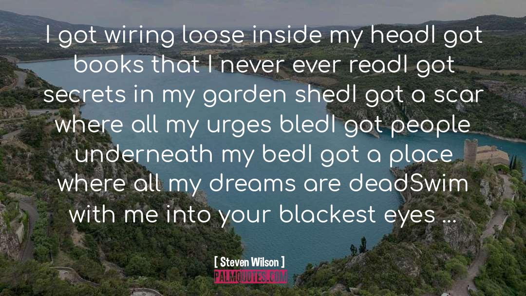 Steven Wilson Quotes: I got wiring loose inside