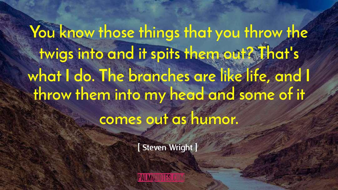 Steven Wright Quotes: You know those things that