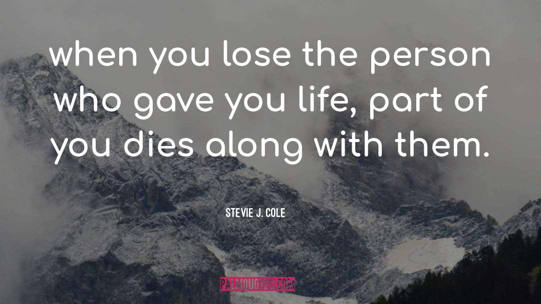Stevie J. Cole Quotes: when you lose the person