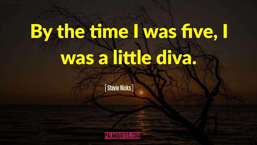 Stevie Nicks Quotes: By the time I was