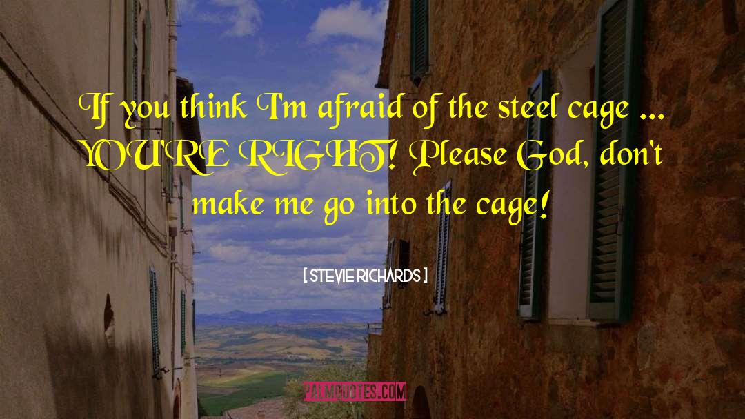 Stevie Richards Quotes: If you think I'm afraid