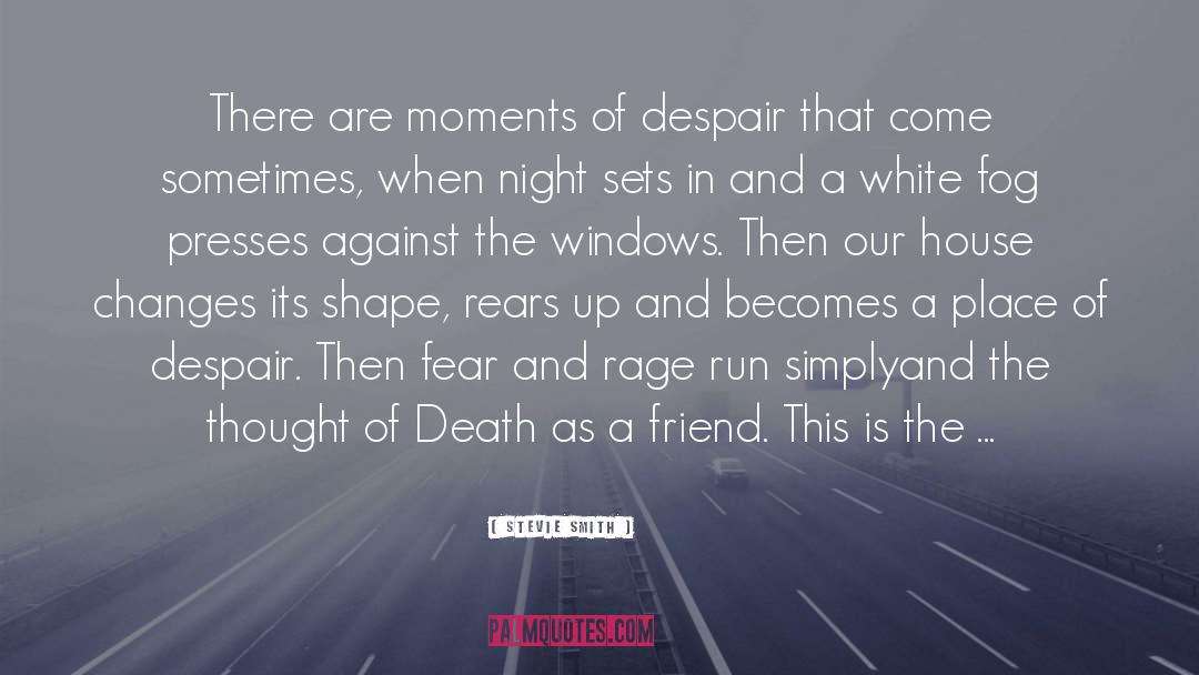 Stevie Smith Quotes: There are moments of despair