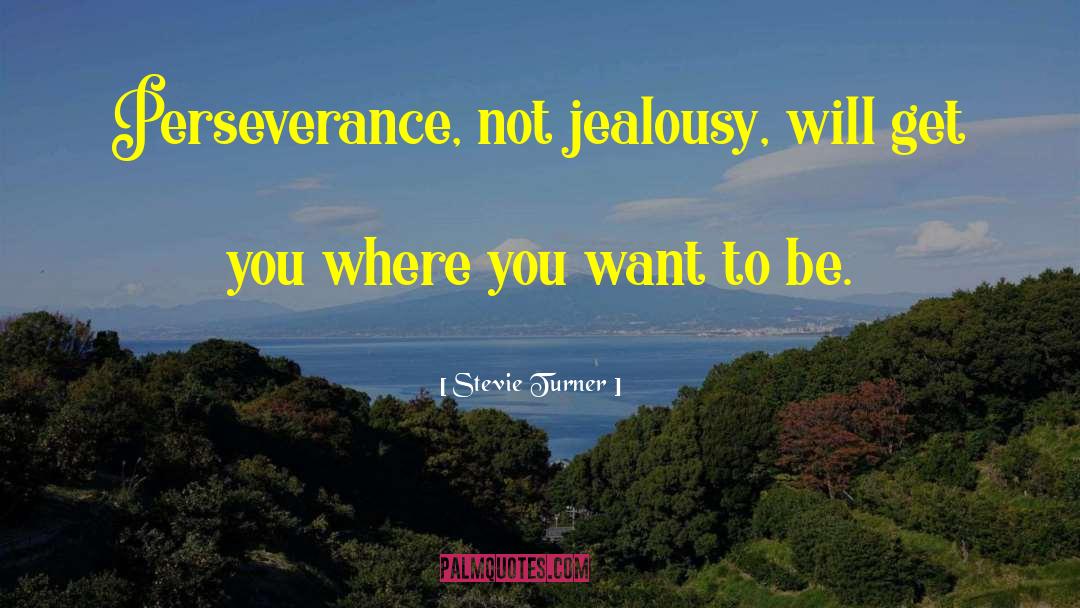 Stevie Turner Quotes: Perseverance, not jealousy, will get
