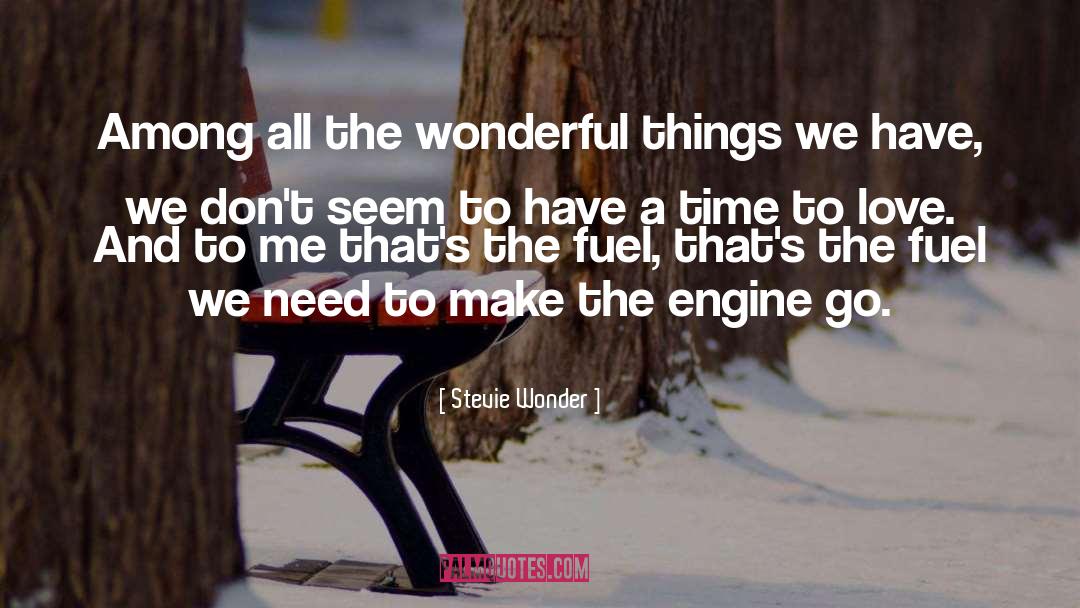 Stevie Wonder Quotes: Among all the wonderful things