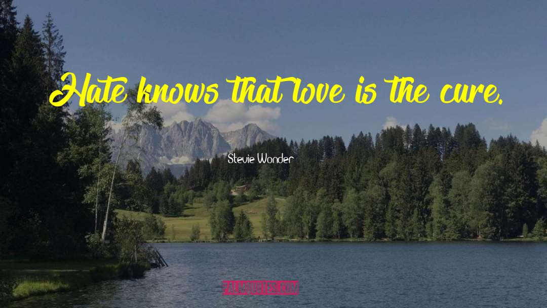 Stevie Wonder Quotes: Hate knows that love is